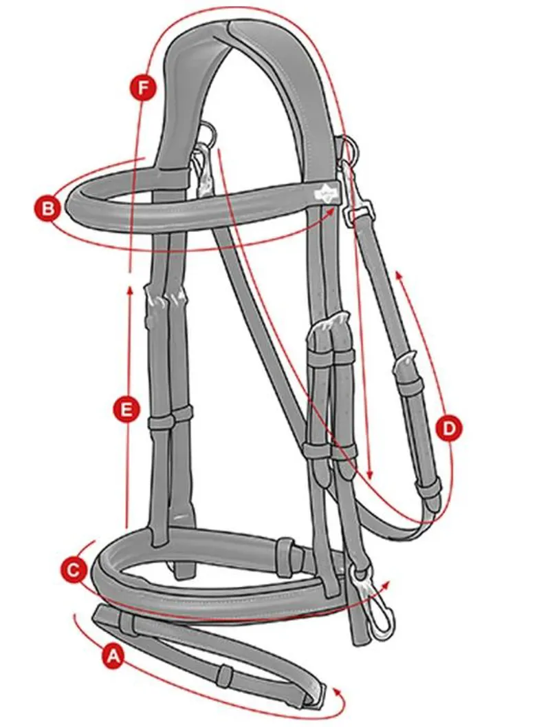 LeMieux Work Bridle Size Guide